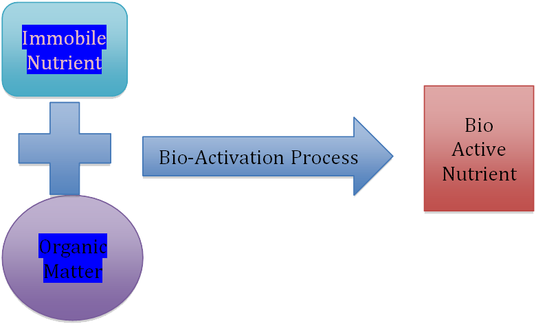 bio